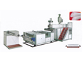 Extruders of blister foils